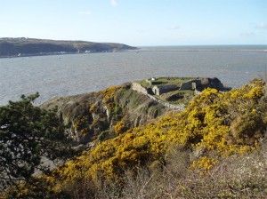 fishguard-fort-goodwick-harbour