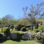 Fern-Villa-garden