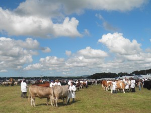 Pembs-County-show